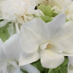 白いデンファレとカーネーションの仏花アレンジメント